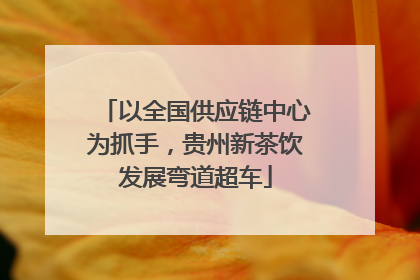 以全国供应链中心为抓手，贵州新茶饮发展弯道超车