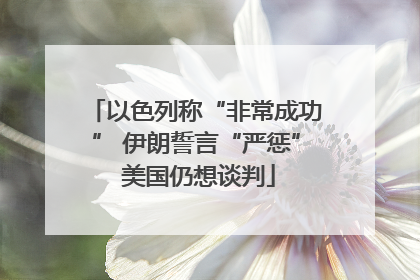 以色列称“非常成功” 伊朗誓言“严惩” 美国仍想谈判