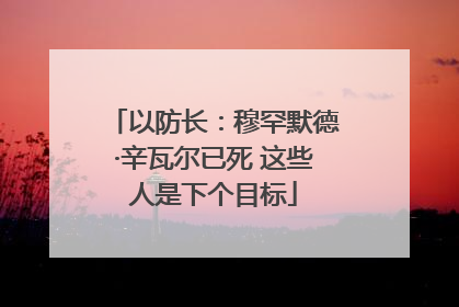 以防长：穆罕默德·辛瓦尔已死 这些人是下个目标