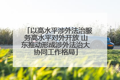 以高水平涉外法治服务高水平对外开放 山东推动形成涉外法治大协同工作格局