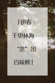 伊春：千里林海“烹”出百味鲜