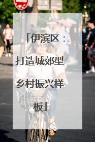 伊滨区：打造城郊型乡村振兴样板