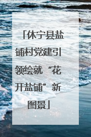休宁县盐铺村党建引领绘就“花开盐铺”新图景