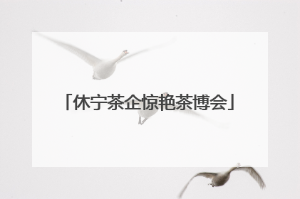 休宁茶企惊艳茶博会