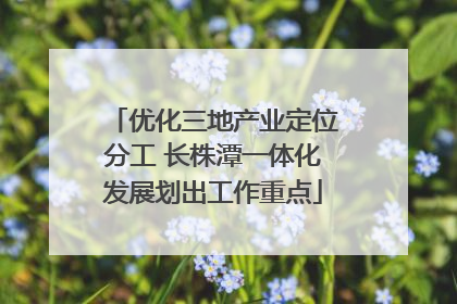 优化三地产业定位分工 长株潭一体化发展划出工作重点