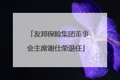 友邦保险集团董事会主席谢仕荣退任