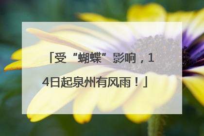 受“蝴蝶”影响，14日起泉州有风雨！
