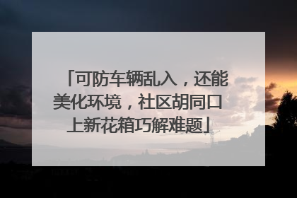 可防车辆乱入，还能美化环境，社区胡同口上新花箱巧解难题