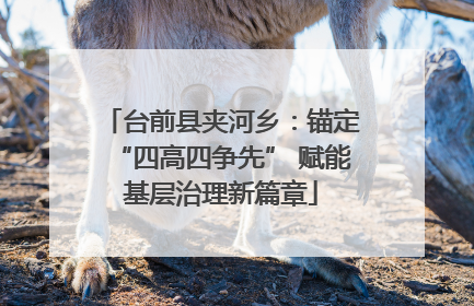 台前县夹河乡：锚定“四高四争先” 赋能基层治理新篇章