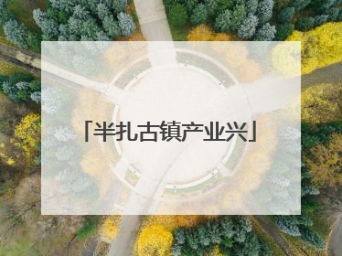 半扎古镇产业兴