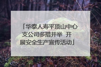 华泰人寿平顶山中心支公司多措并举  开展安全生产宣传活动