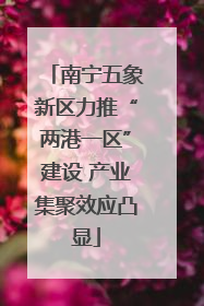 南宁五象新区力推“两港一区”建设 产业集聚效应凸显