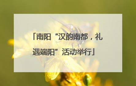 南阳“汉韵南都，礼遇端阳”活动举行