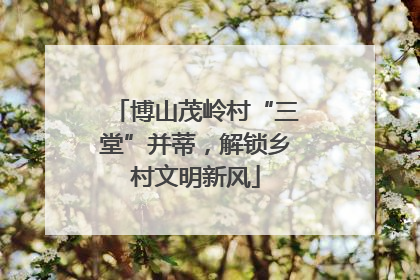 博山茂岭村“三堂”并蒂，解锁乡村文明新风