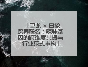 卫龙 × 白象跨界联名：辣味基因的跨维度共振与行业范式重构
