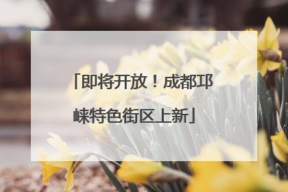 即将开放！成都邛崃特色街区上新