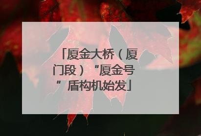厦金大桥（厦门段）“厦金号”盾构机始发