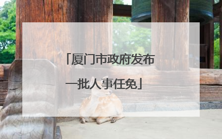 厦门市政府发布一批人事任免