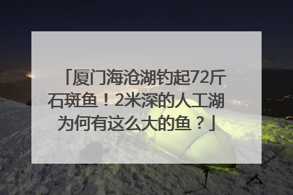 厦门海沧湖钓起72斤石斑鱼！2米深的人工湖为何有这么大的鱼？