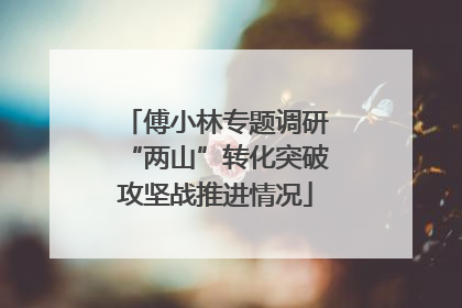 傅小林专题调研“两山”转化突破攻坚战推进情况