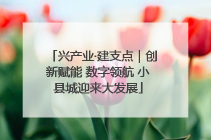 兴产业·建支点｜创新赋能 数字领航 小县城迎来大发展