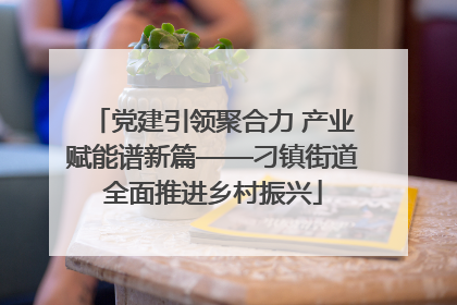 党建引领聚合力 产业赋能谱新篇——刁镇街道全面推进乡村振兴