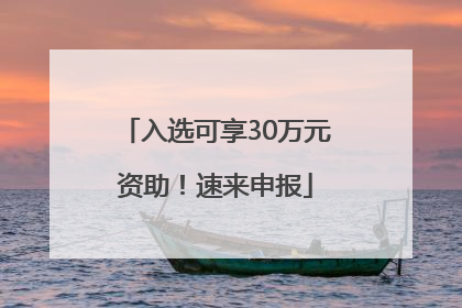 入选可享30万元资助！速来申报