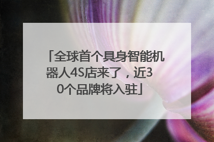 全球首个具身智能机器人4S店来了，近30个品牌将入驻