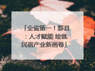 全省第一！黟县：人才赋能 绘就民宿产业新画卷