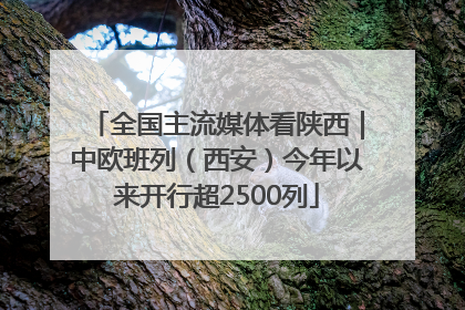 全国主流媒体看陕西｜中欧班列（西安）今年以来开行超2500列