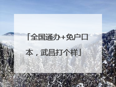 全国通办+免户口本，武昌打个样