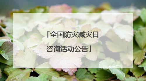 全国防灾减灾日咨询活动公告