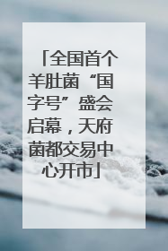 全国首个羊肚菌“国字号”盛会启幕，天府菌都交易中心开市