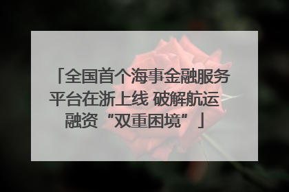 全国首个海事金融服务平台在浙上线 破解航运融资“双重困境”