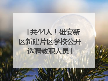 共44人！雄安新区新建片区学校公开选聘教职人员