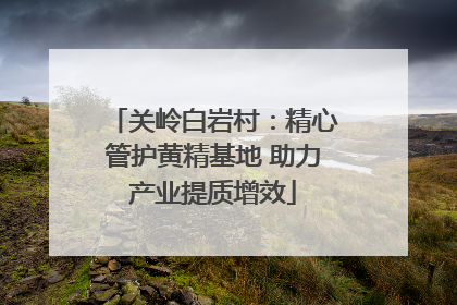 关岭白岩村：精心管护黄精基地 助力产业提质增效