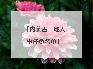 内蒙古一地人事任免名单