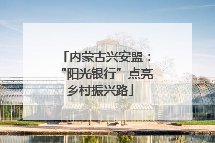 内蒙古兴安盟：“阳光银行”点亮乡村振兴路