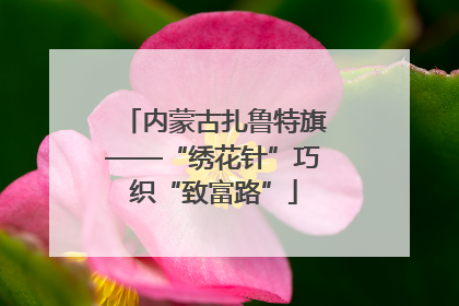内蒙古扎鲁特旗——“绣花针”巧织“致富路”