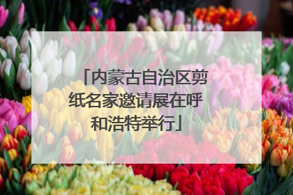 内蒙古自治区剪纸名家邀请展在呼和浩特举行