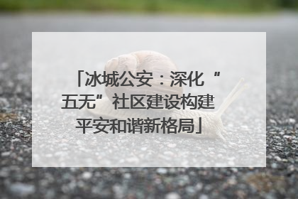 冰城公安：深化“五无”社区建设构建平安和谐新格局
