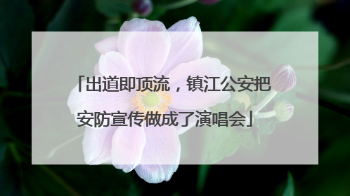 出道即顶流，镇江公安把安防宣传做成了演唱会