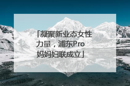 凝聚新业态女性力量，浦东Pro妈妈妇联成立