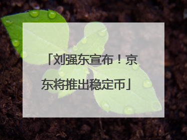 刘强东宣布！京东将推出稳定币
