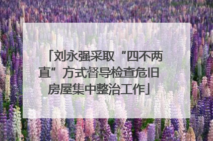刘永强采取“四不两直”方式督导检查危旧房屋集中整治工作