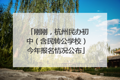 刚刚，杭州民办初中（含民转公学校）今年报名情况公布