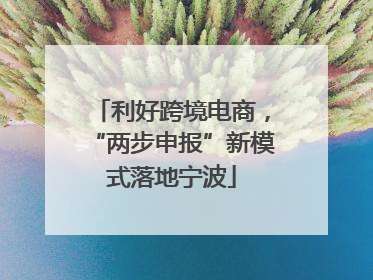 利好跨境电商，“两步申报”新模式落地宁波