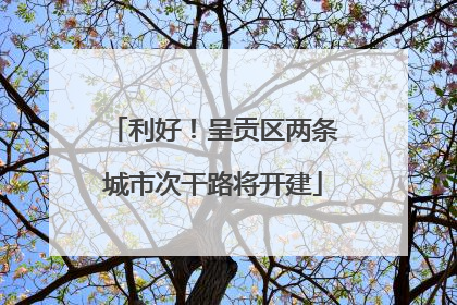 利好！呈贡区两条城市次干路将开建