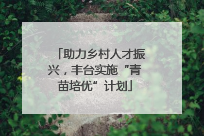 助力乡村人才振兴，丰台实施“青苗培优”计划