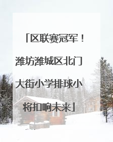 区联赛冠军！潍坊潍城区北门大街小学排球小将扣响未来